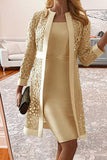 Elegant Solid Lace Hollowed Out Long Sleeve Two Pieces