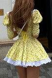 Elegant Print Flowers Frenulum Peter Pan Collar Princess Dresses