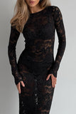 Sexy Lace See-Through O Neck Lace Dress Dresses